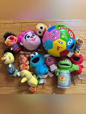 EUC Sesame Street Plush Character Ball and Mini Plush Bundle (with case!)